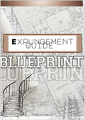 Expunge It : Blueprint