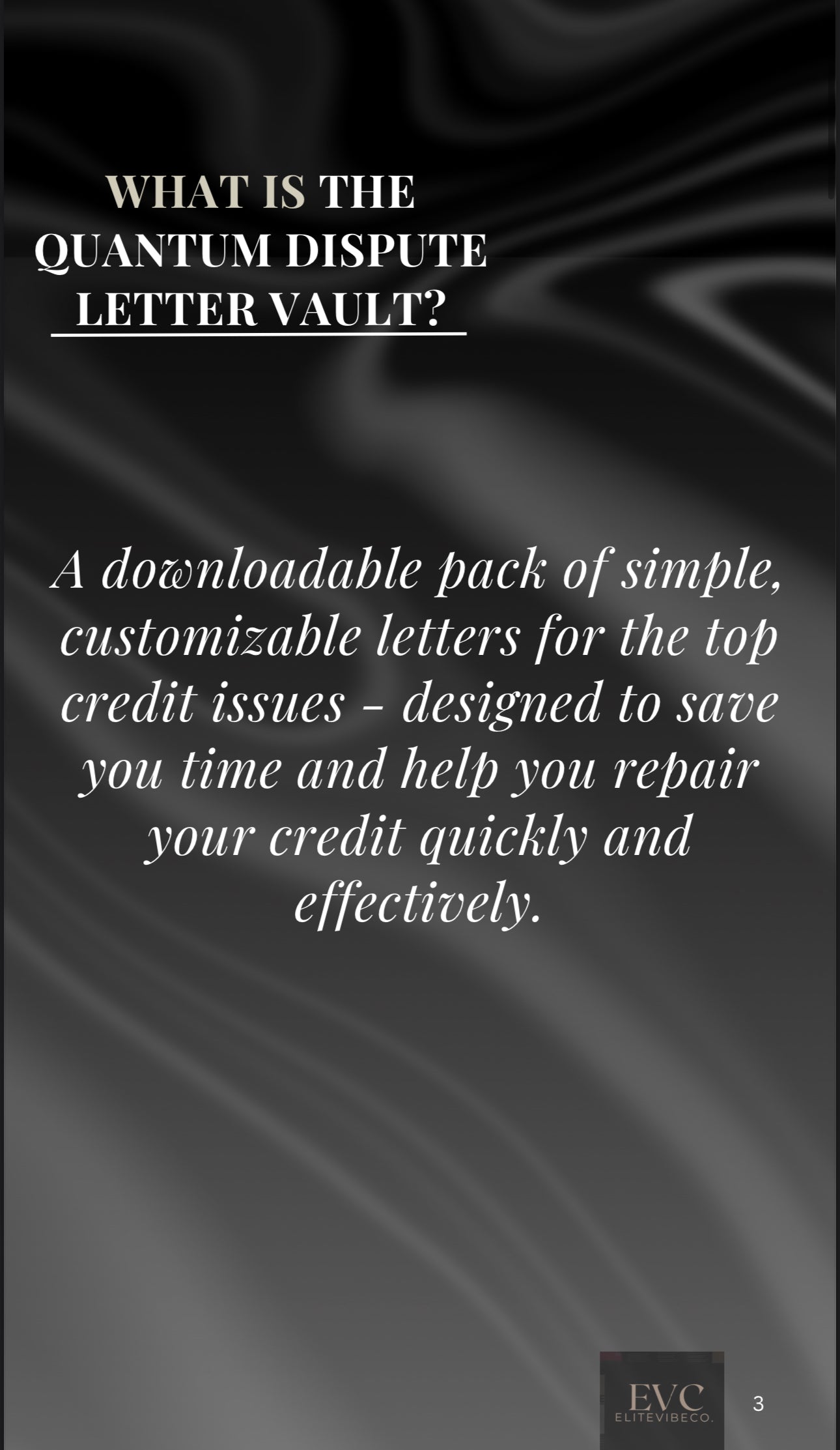 Quantum Dispute Letter Vault